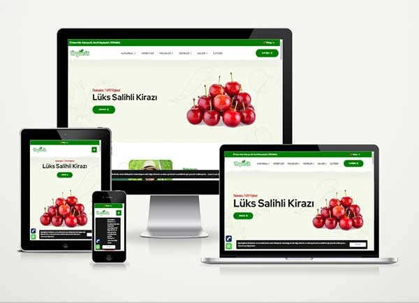 meyve sebze tarım web sitesi